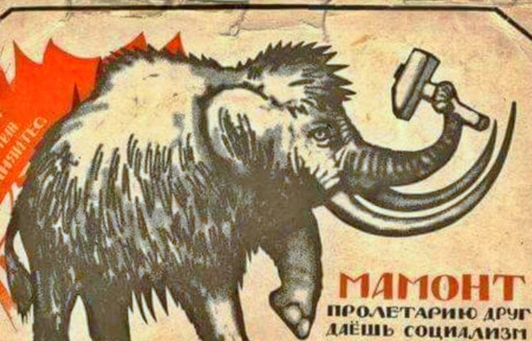Власти Якутии собрались разводить клонированных мамонтов