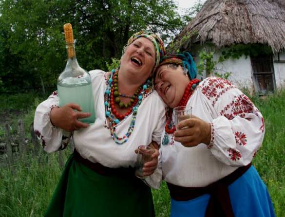 Это Украина: в Академии наук подделывали алкоголь