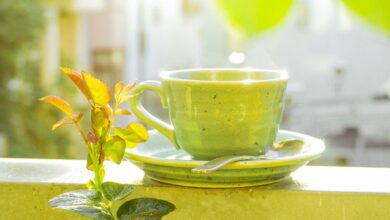 Photo of Чем полезен зеленый чай?