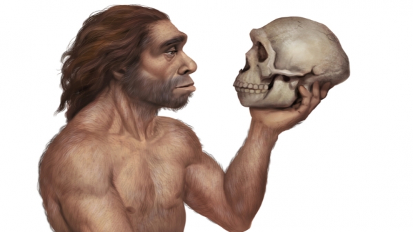 Археологи впервые "поймали" неандертальцев и Homo sapiens в одном месте в одно время 