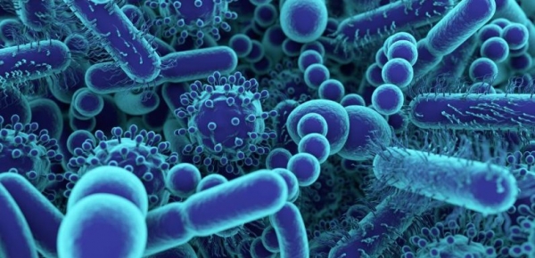 Кишечные бактерии способны вырабатывать токсичные вещества, повреждающие мозг
