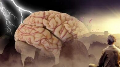 Photo of Ученые выяснили, что способность мозга к самообучению вызывает усиление судорог
