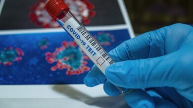Photo of Исследование: иммунитет к COVID-19 длится не менее 8 месяцев