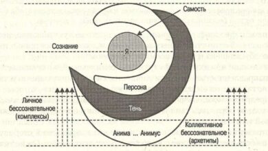 Photo of Структура личности по Юнгу