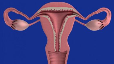 Photo of 7 малоизвестных фактов о шейке матки