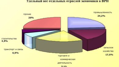 Photo of Как найти удельный вес показателей эффективности в экономике государства