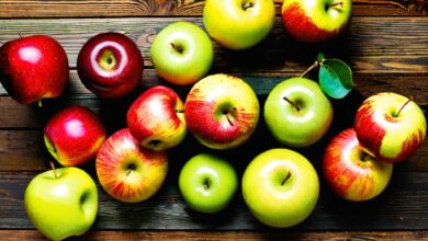 Photo of Сушка яблок в сушилке — лучший способ сохранить витамины на зиму