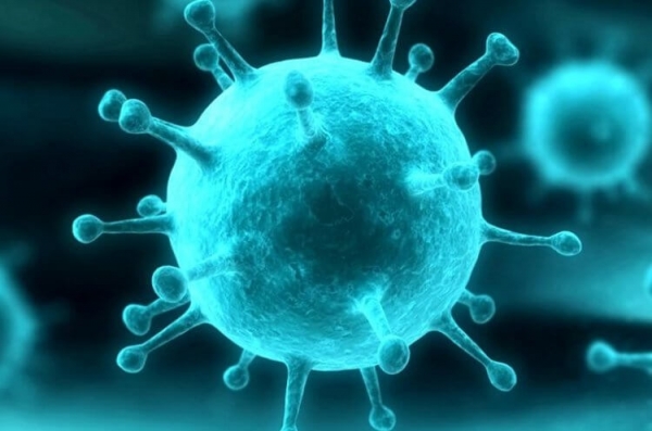 Ученые нашли уязвимость коронавируса 